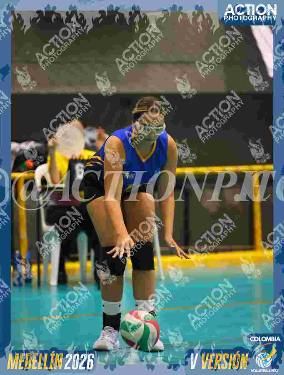 WOLVES Foto 11