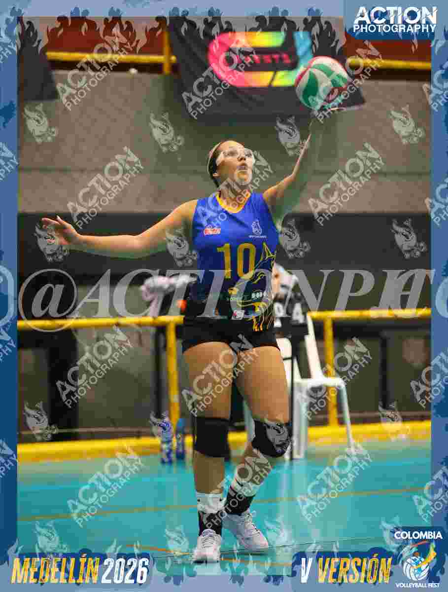 WOLVES Foto 11