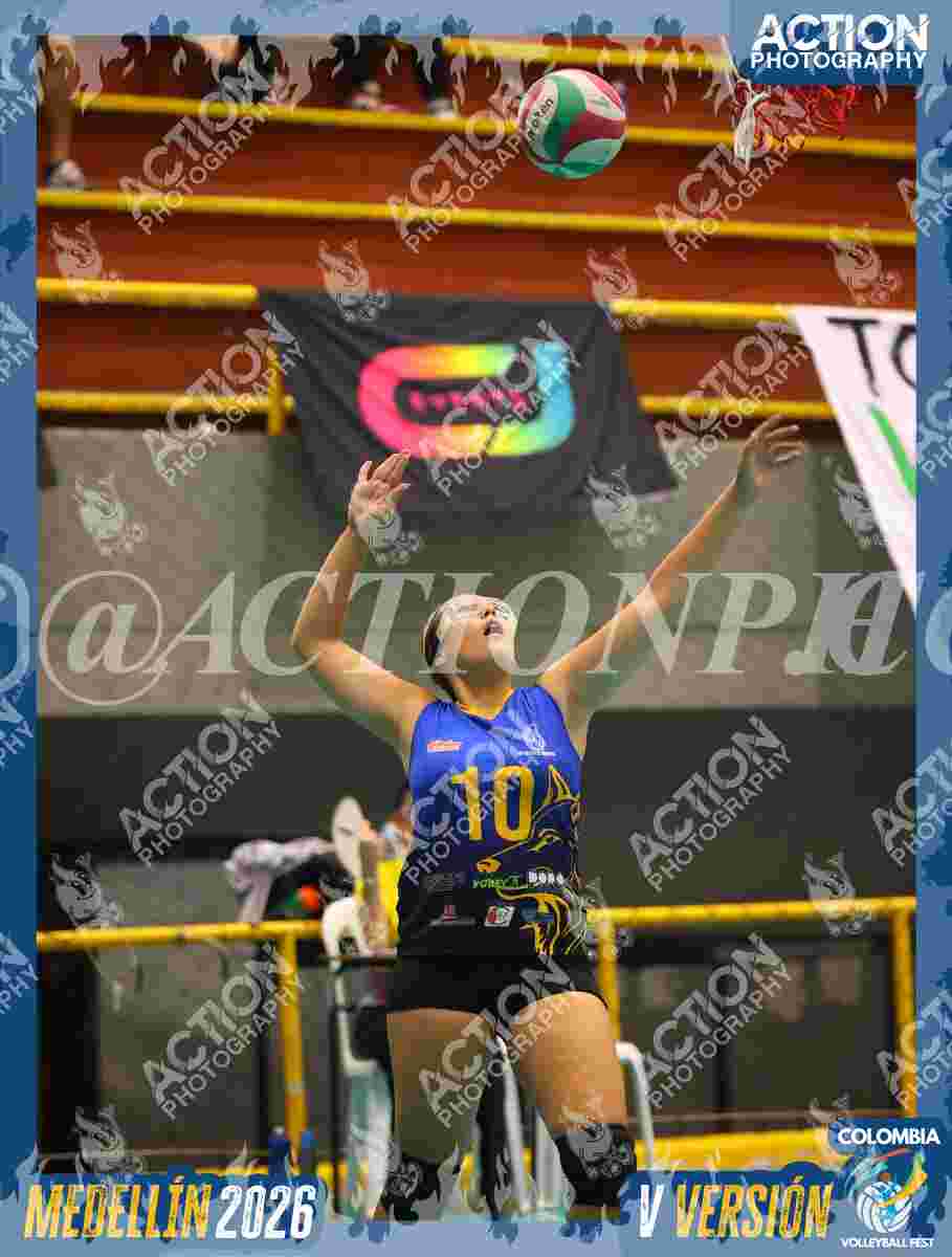 WOLVES Foto 11