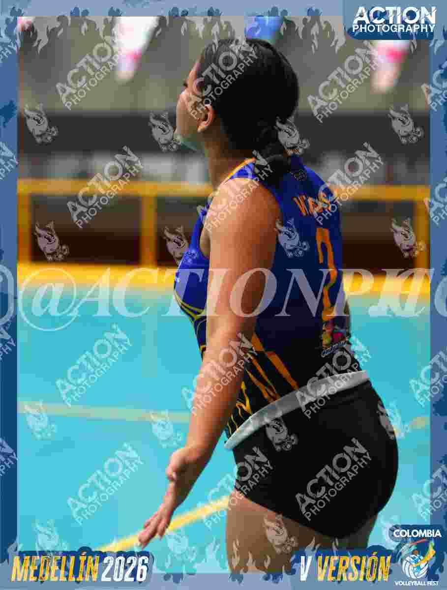 WOLVES Foto 5