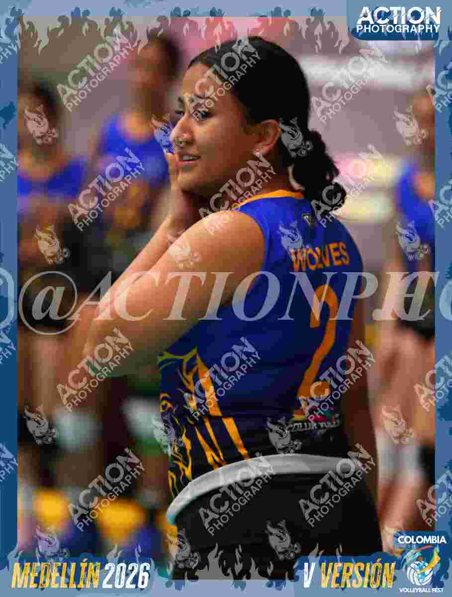 WOLVES Foto 5