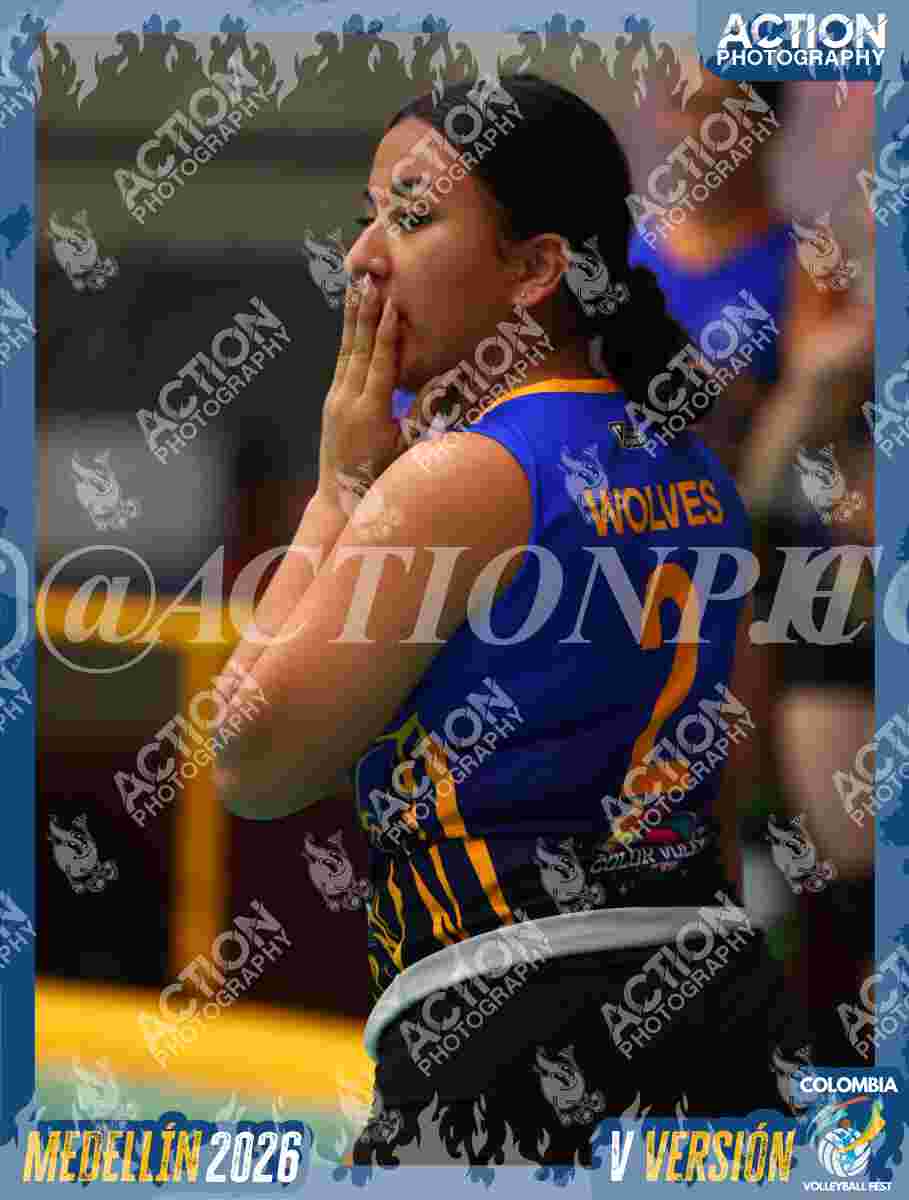 WOLVES Foto 1