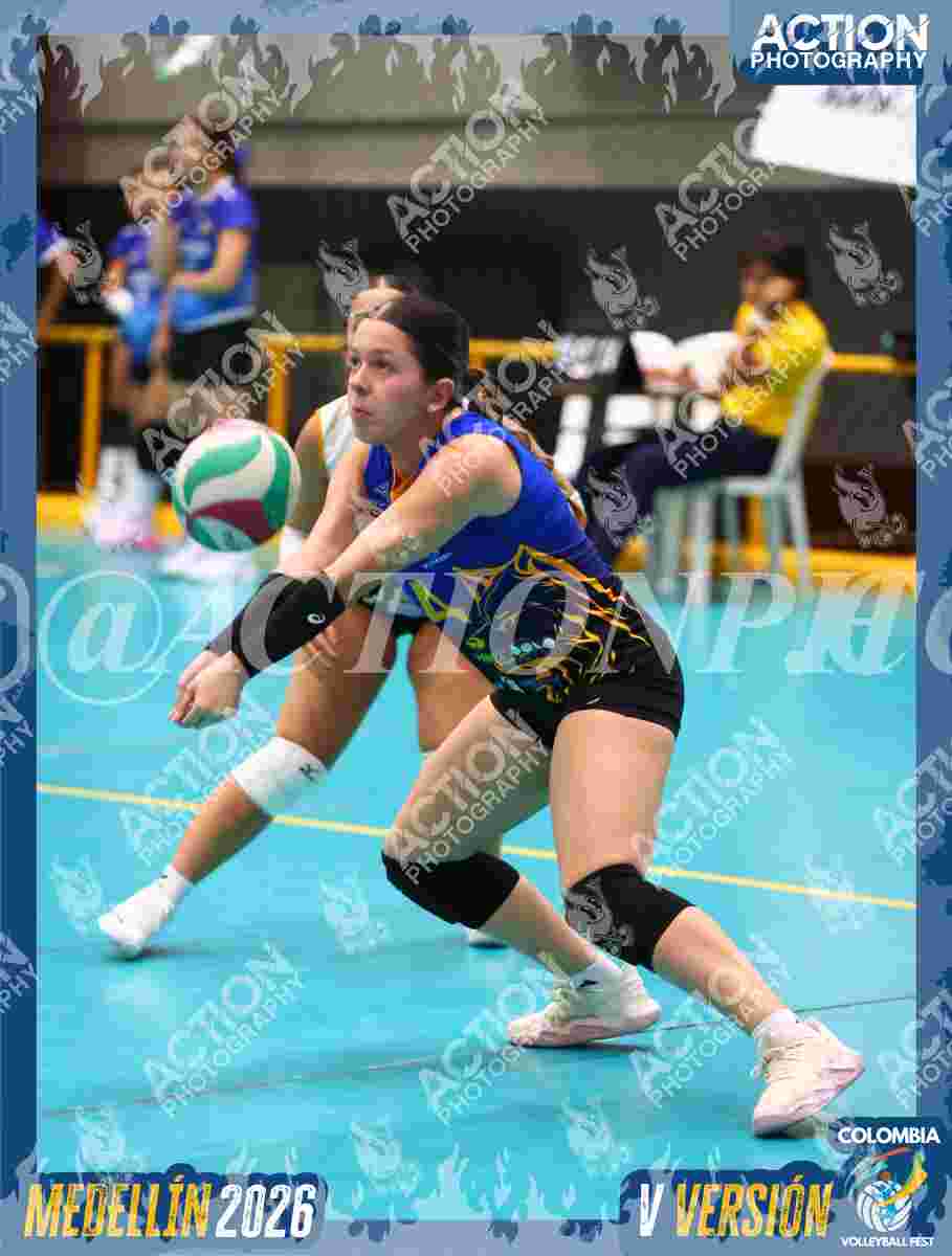 WOLVES Foto 1