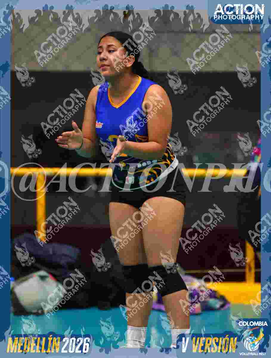 WOLVES Foto 5