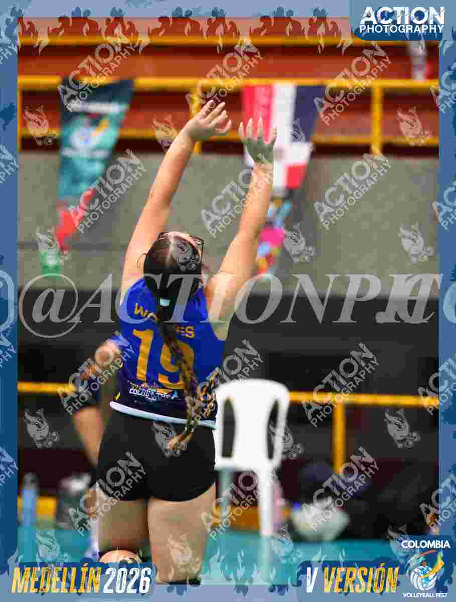 WOLVES Foto 15