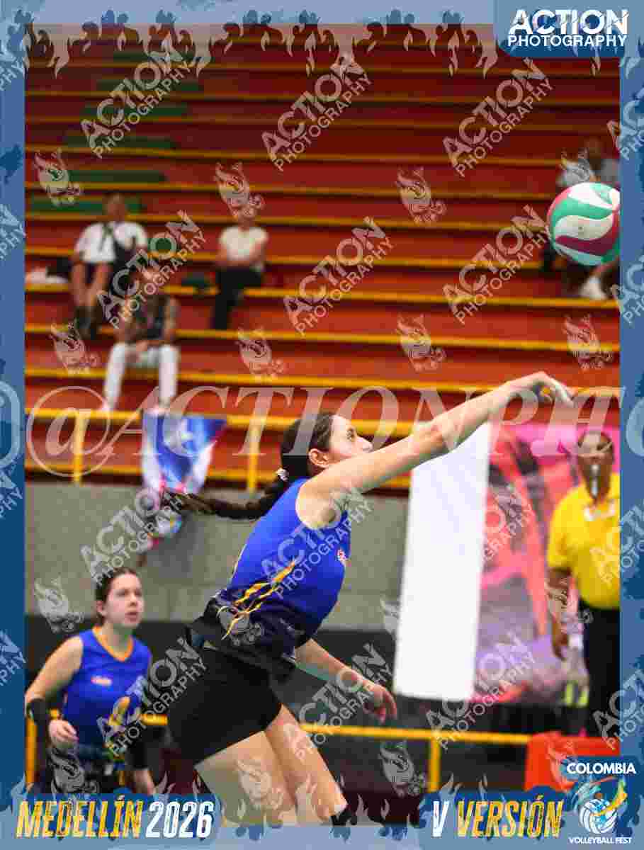 WOLVES Foto 15