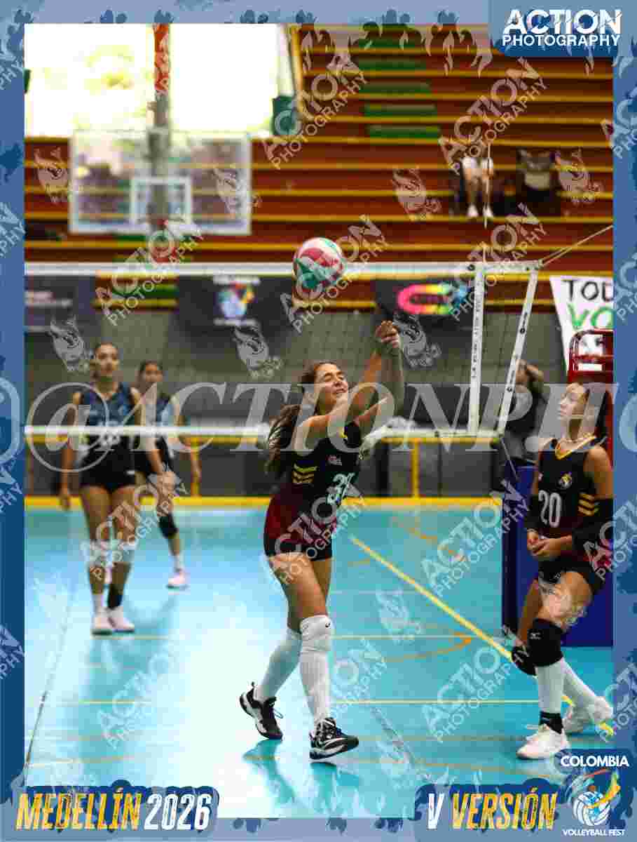 FALCON Foto 11