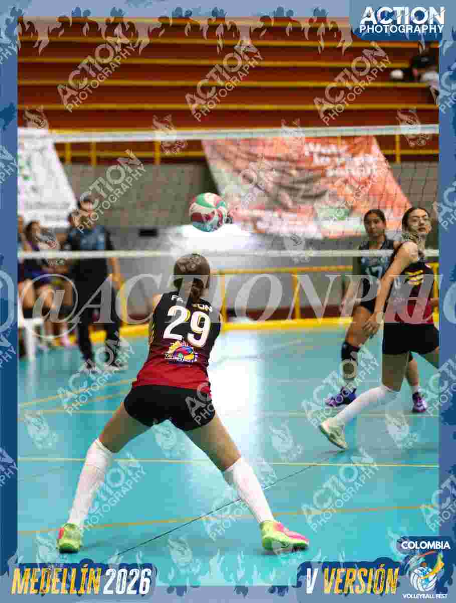 FALCON Foto 11