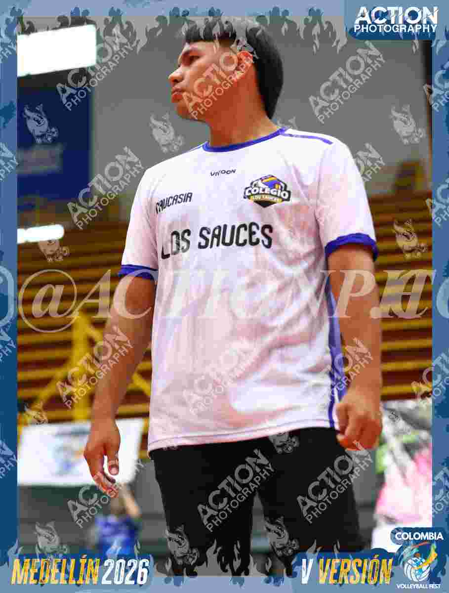 SAUCES  Foto 1