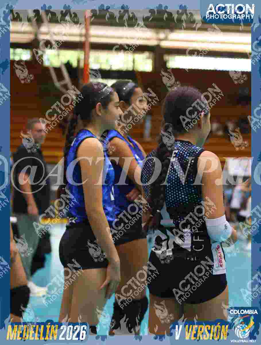 TIGRES 2013 Foto 1