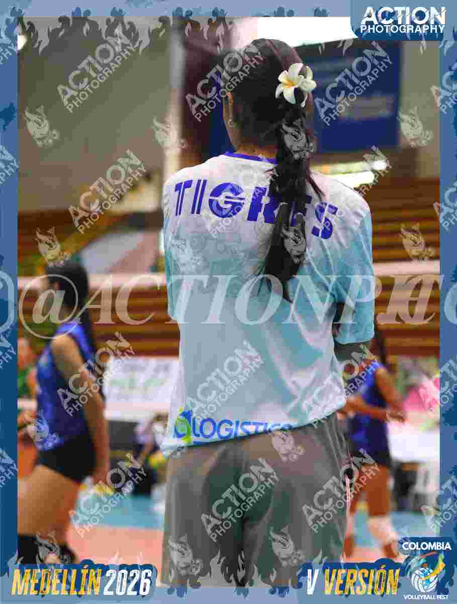 TIGRES 2013 Foto 1