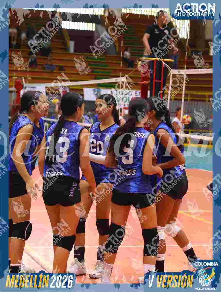 TIGRES 2013 Foto 1