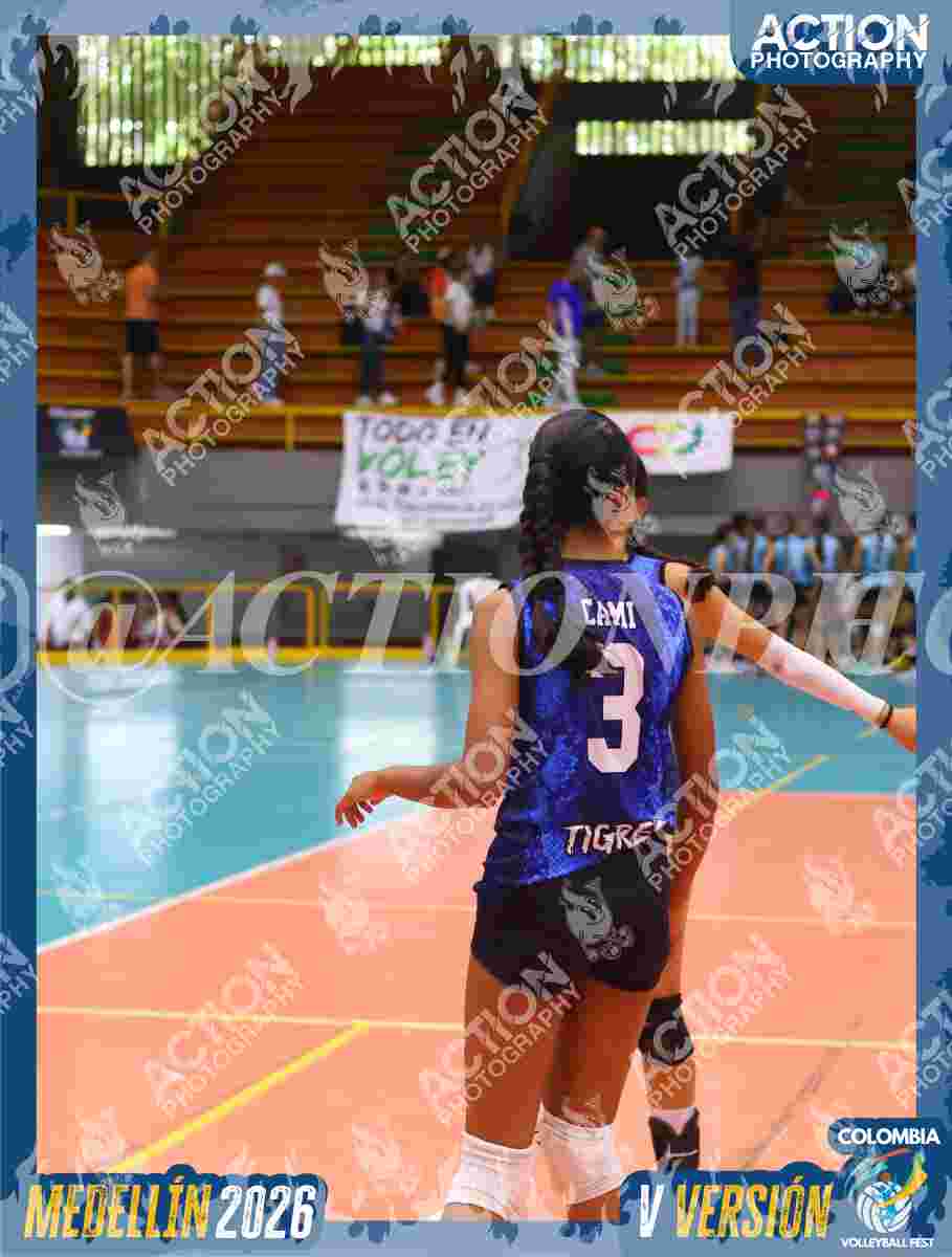 TIGRES 2013 Foto 1