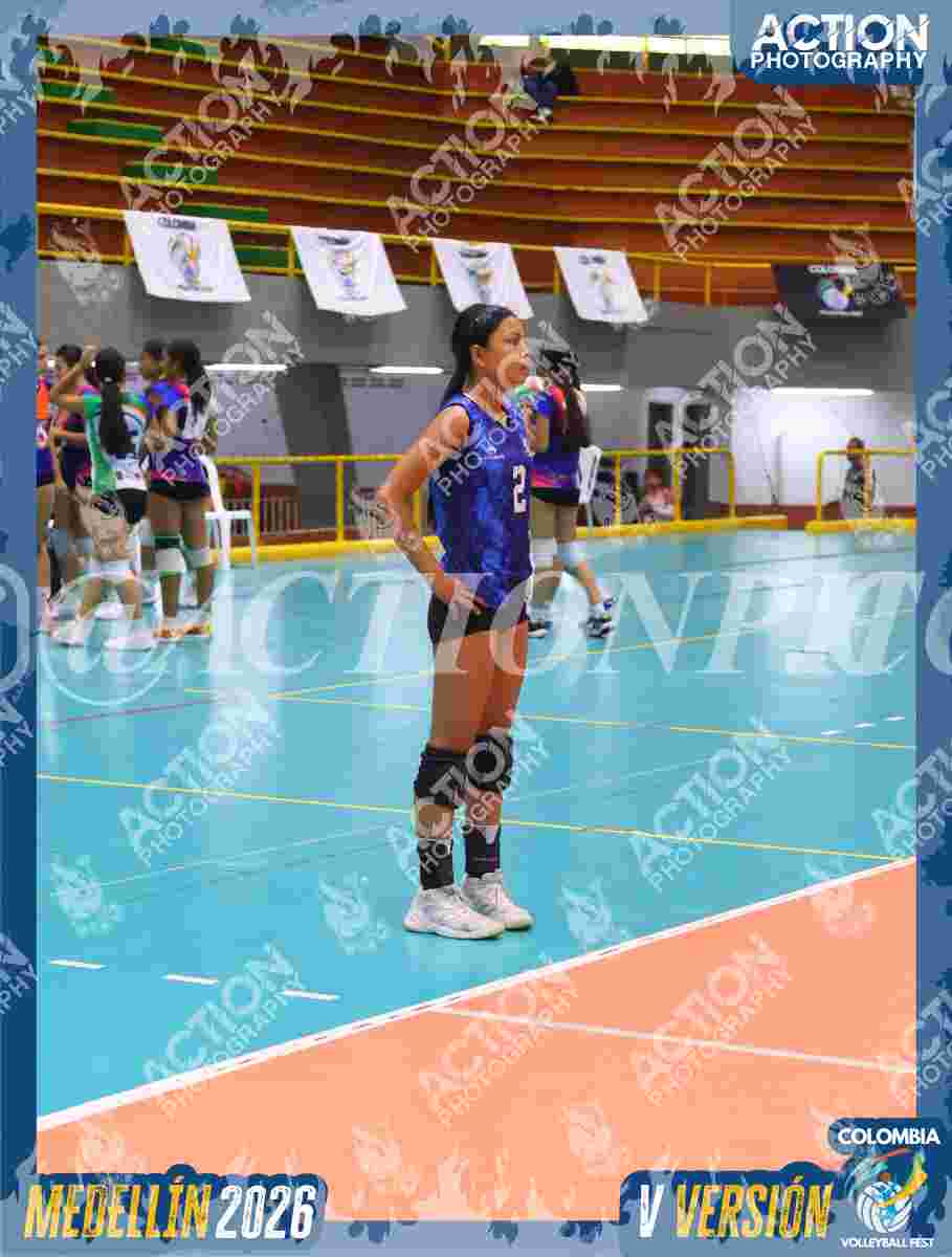 TIGRES 2013 Foto 1