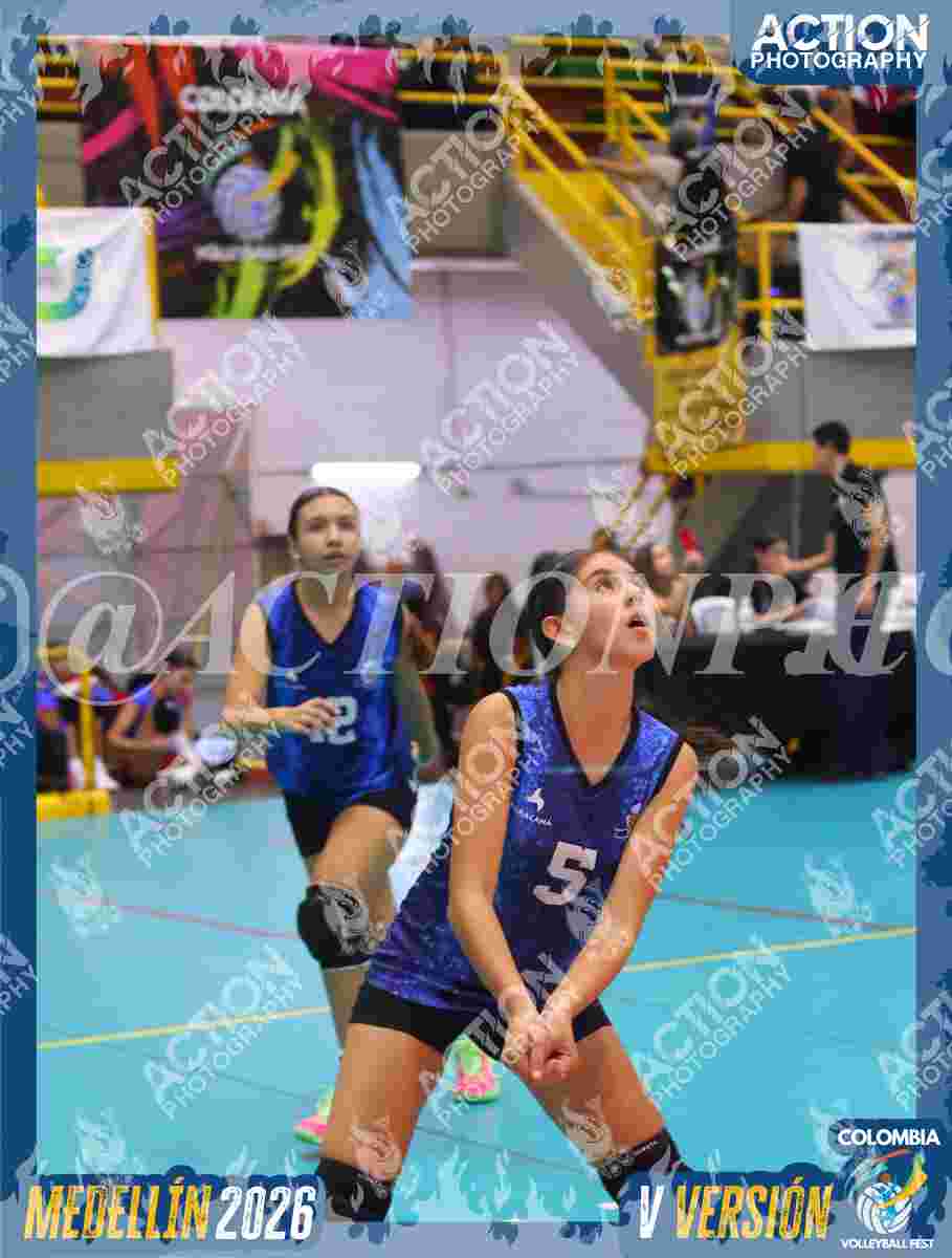 TIGRES 2013 Foto 11