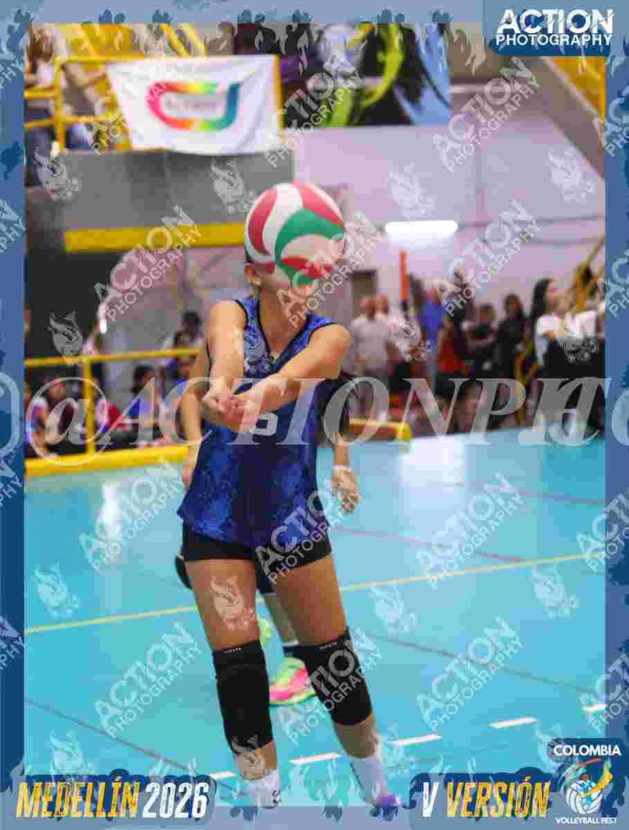 TIGRES 2013 Foto 11