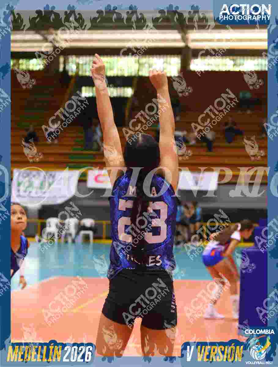 TIGRES 2013 Foto 11