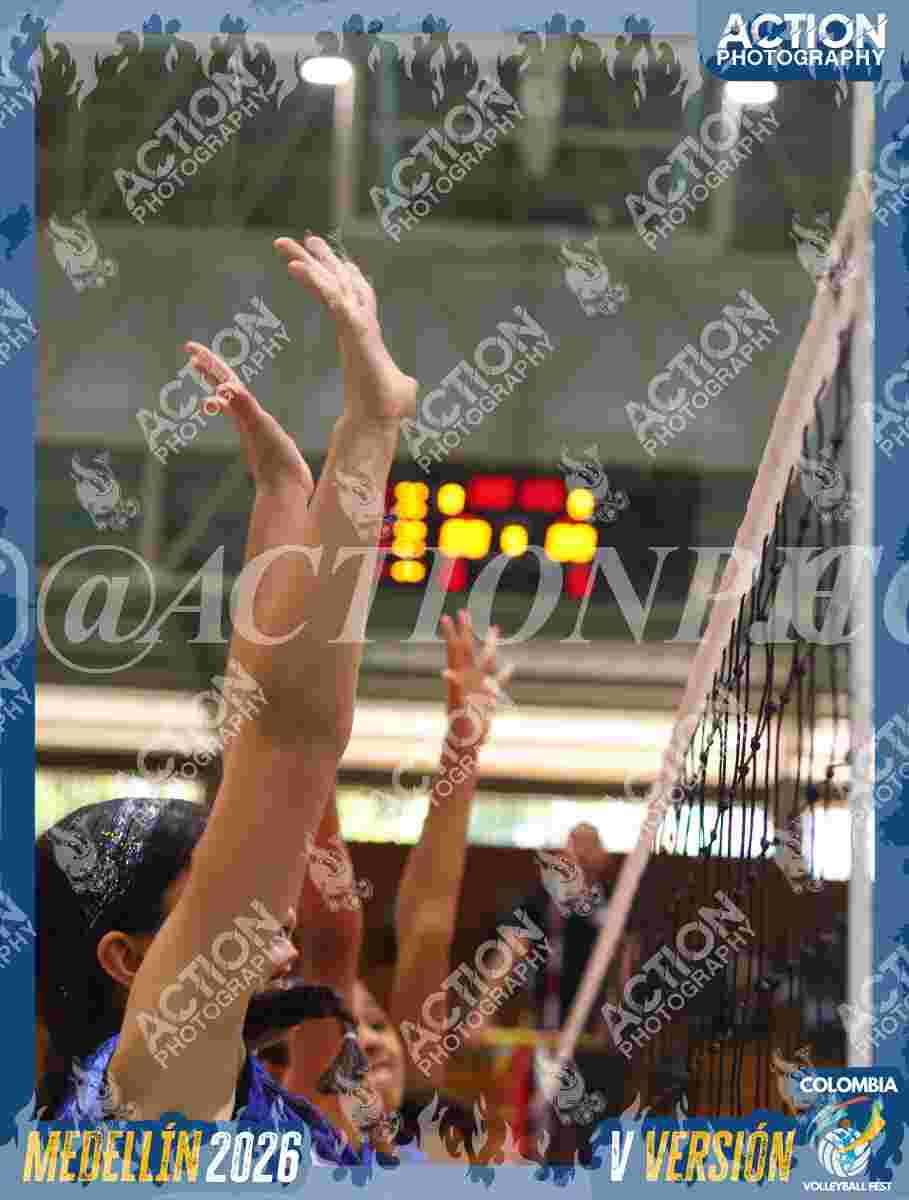 TIGRES 2013 Foto 11