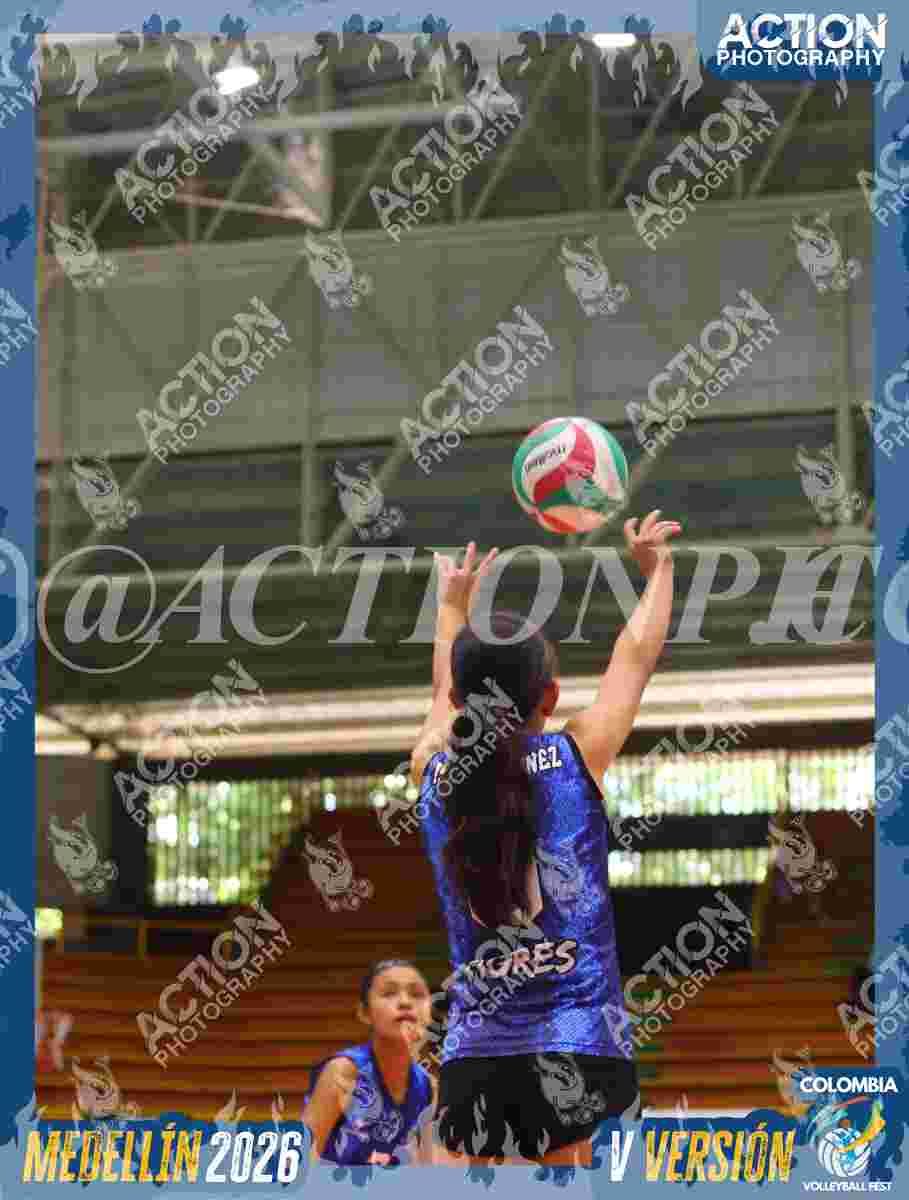 TIGRES 2013 Foto 11