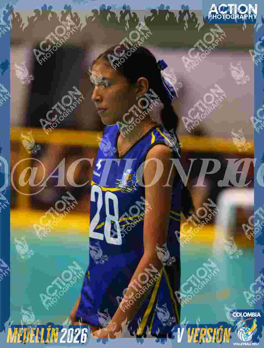 TIGRES JP Foto 4