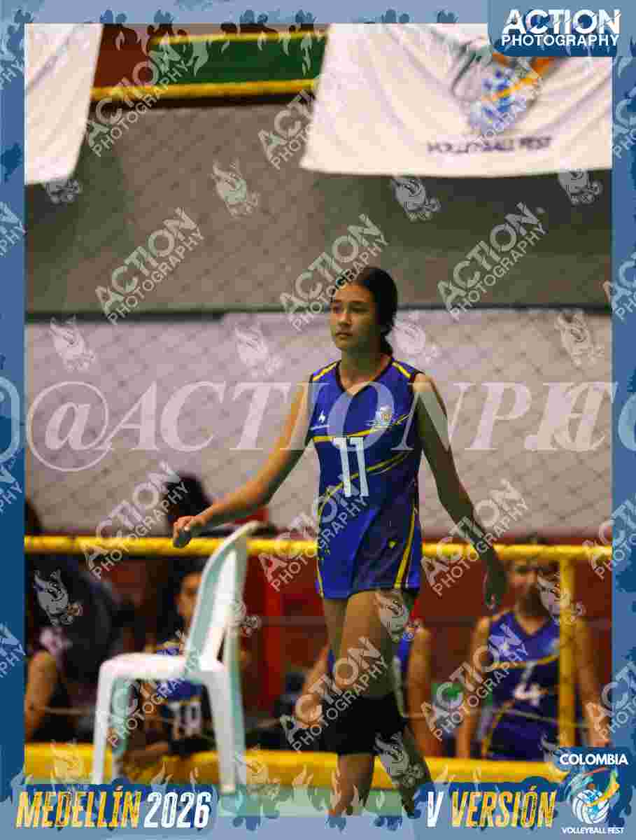 TIGRES JP Foto 1