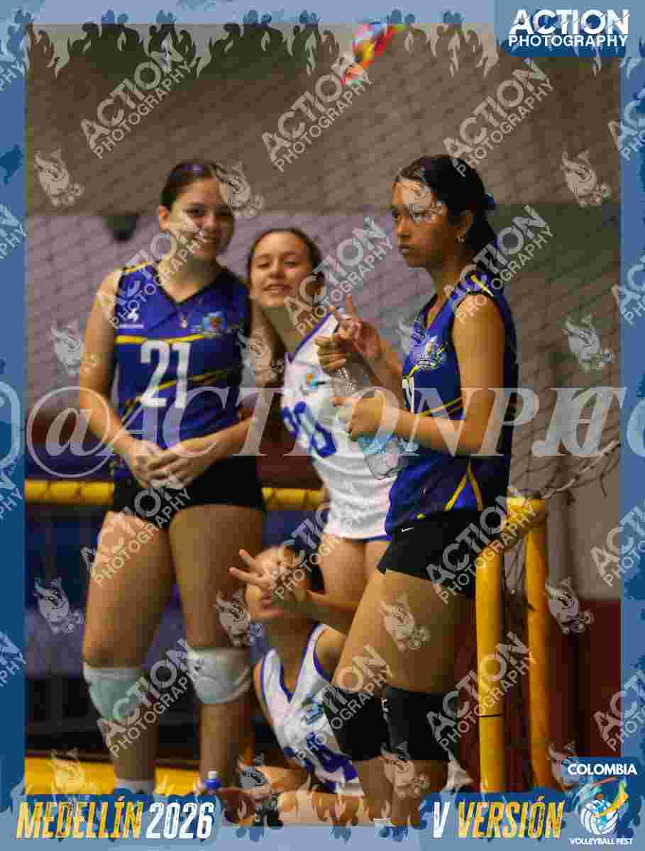 TIGRES JP Foto 4