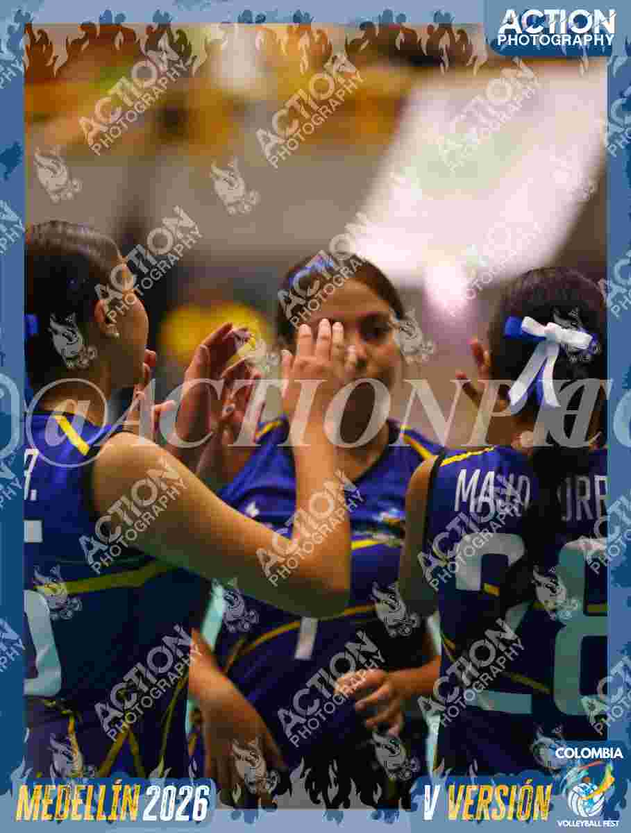 TIGRES JP Foto 4