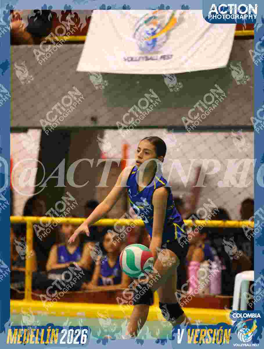 TIGRES JP Foto 14