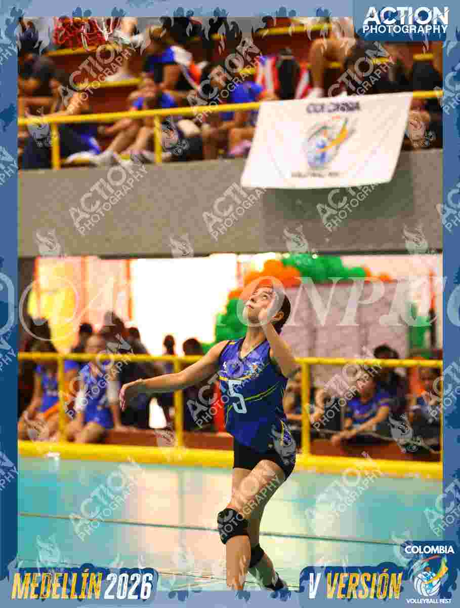 TIGRES JP Foto 4