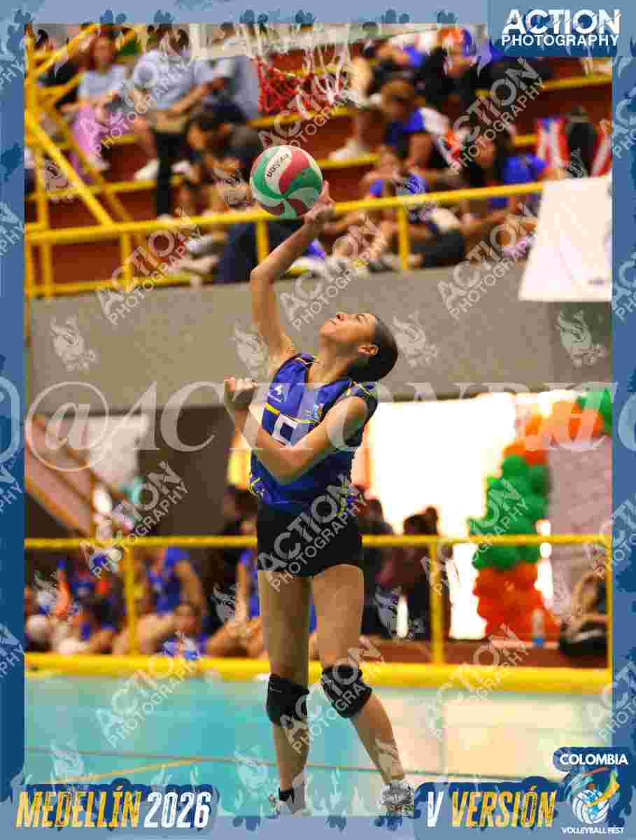 TIGRES JP Foto 14