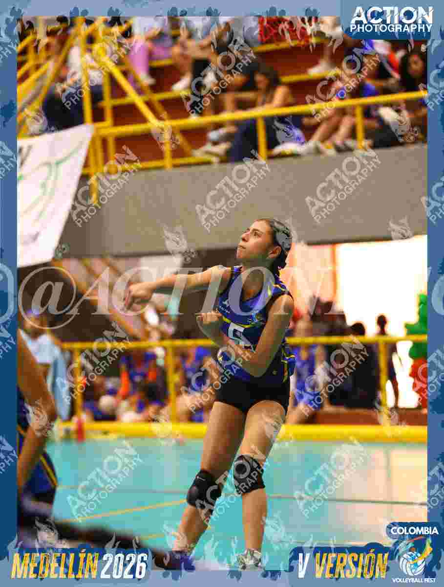 TIGRES JP Foto 14