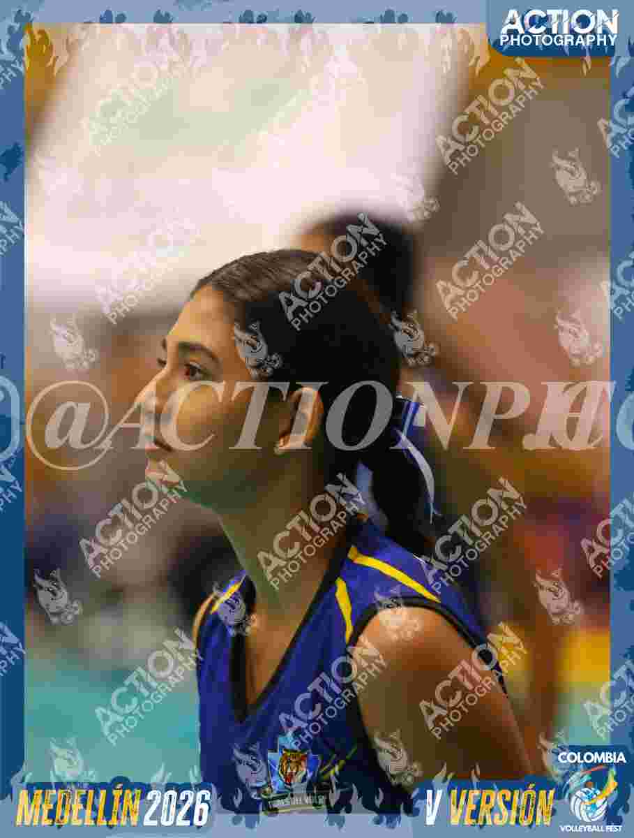 TIGRES JP Foto 14