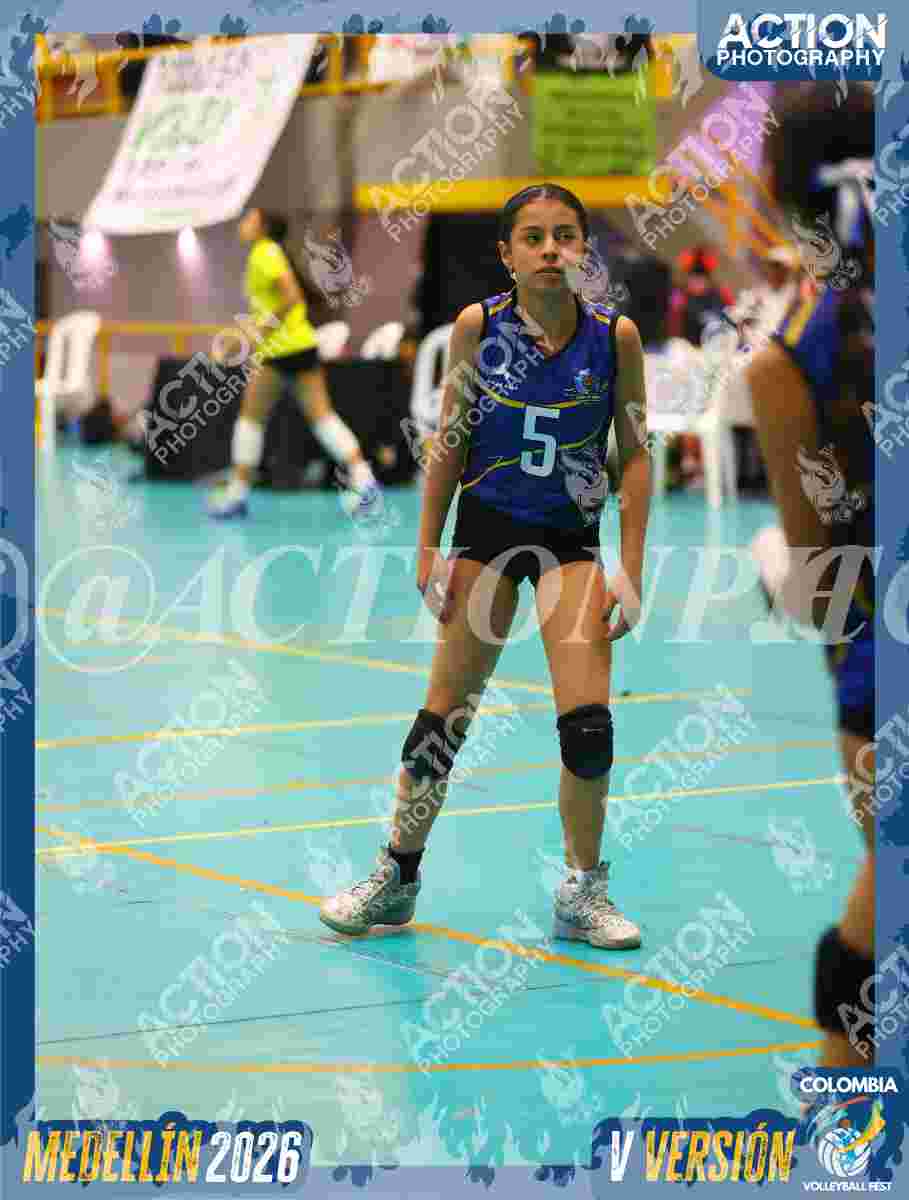 TIGRES JP Foto 14