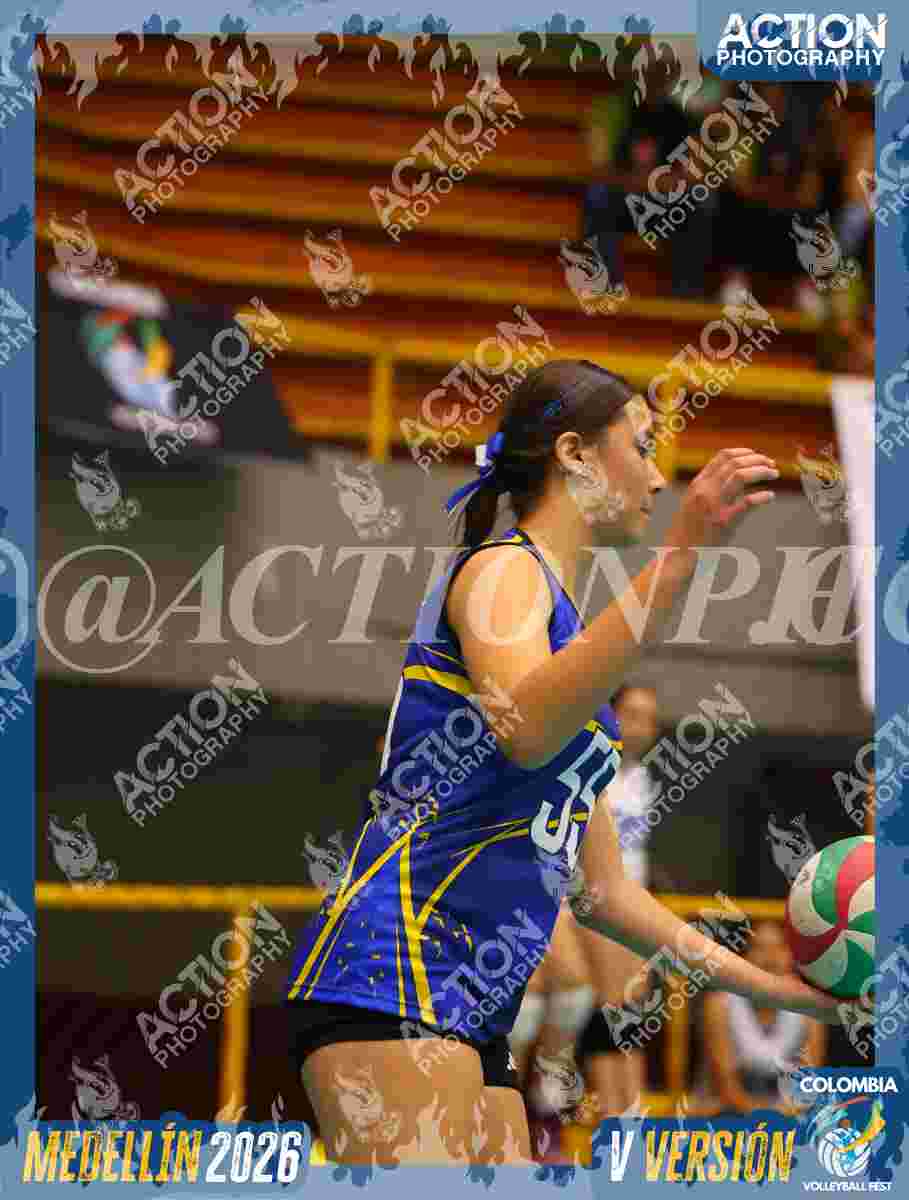 Preview de TIGRES JP