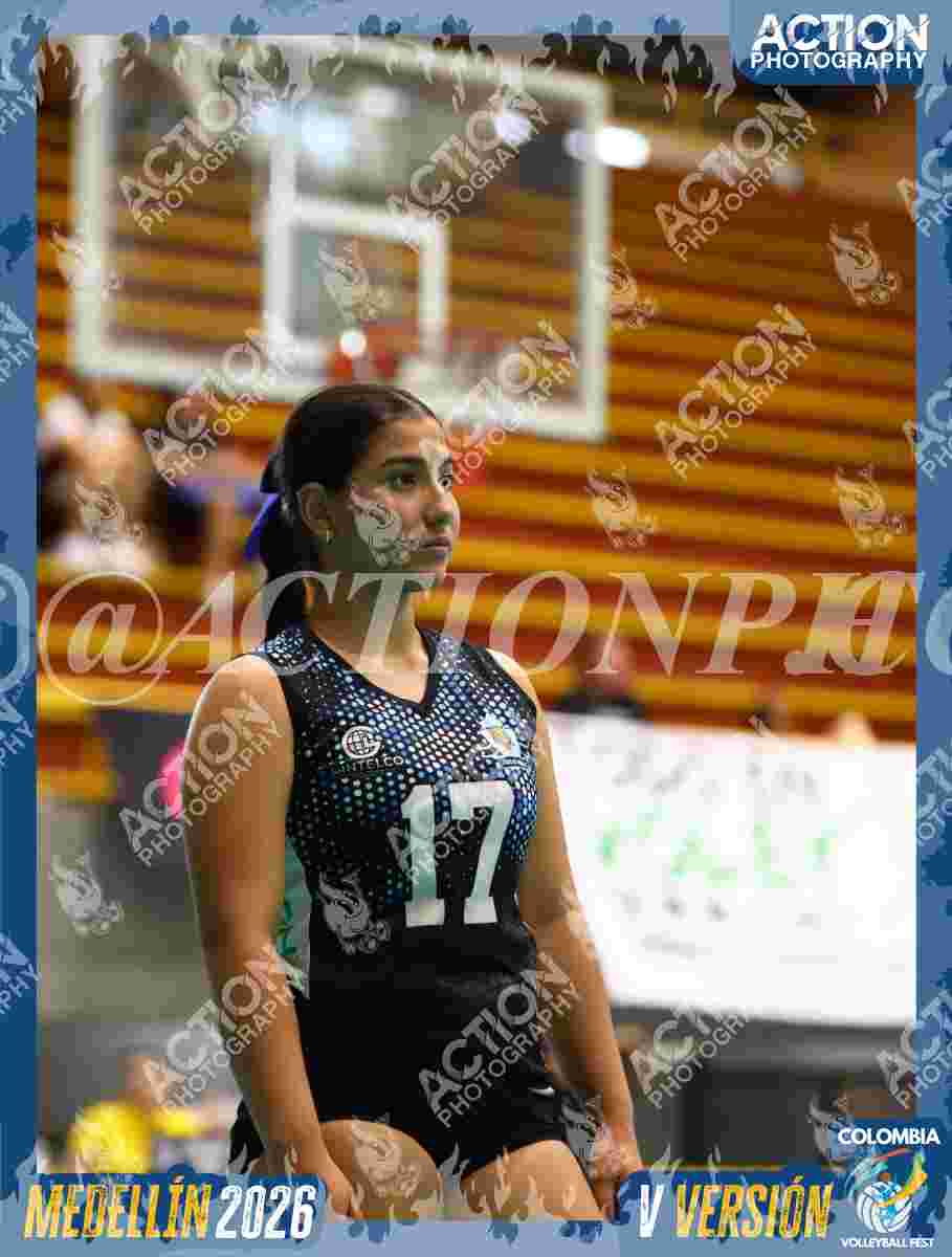 TIGRES S Foto 5