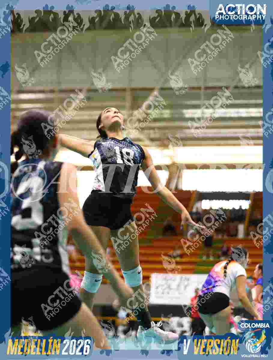 TIGRES S Foto 5