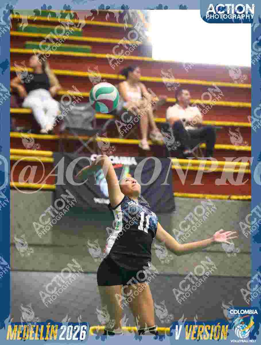 TIGRES S Foto 1