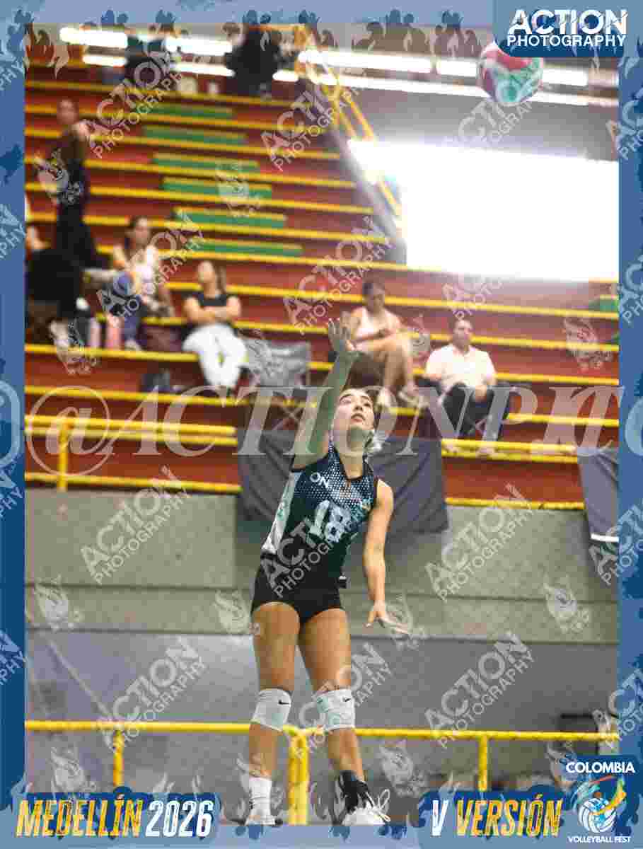 TIGRES S Foto 15