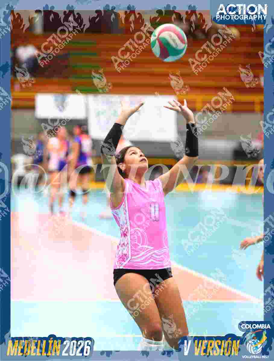Preview de TOVC