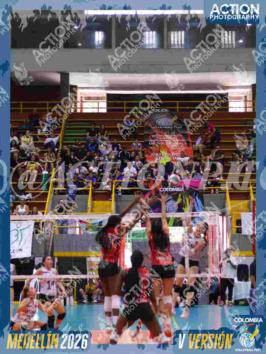 Preview de AGUILAS DEL VALLE