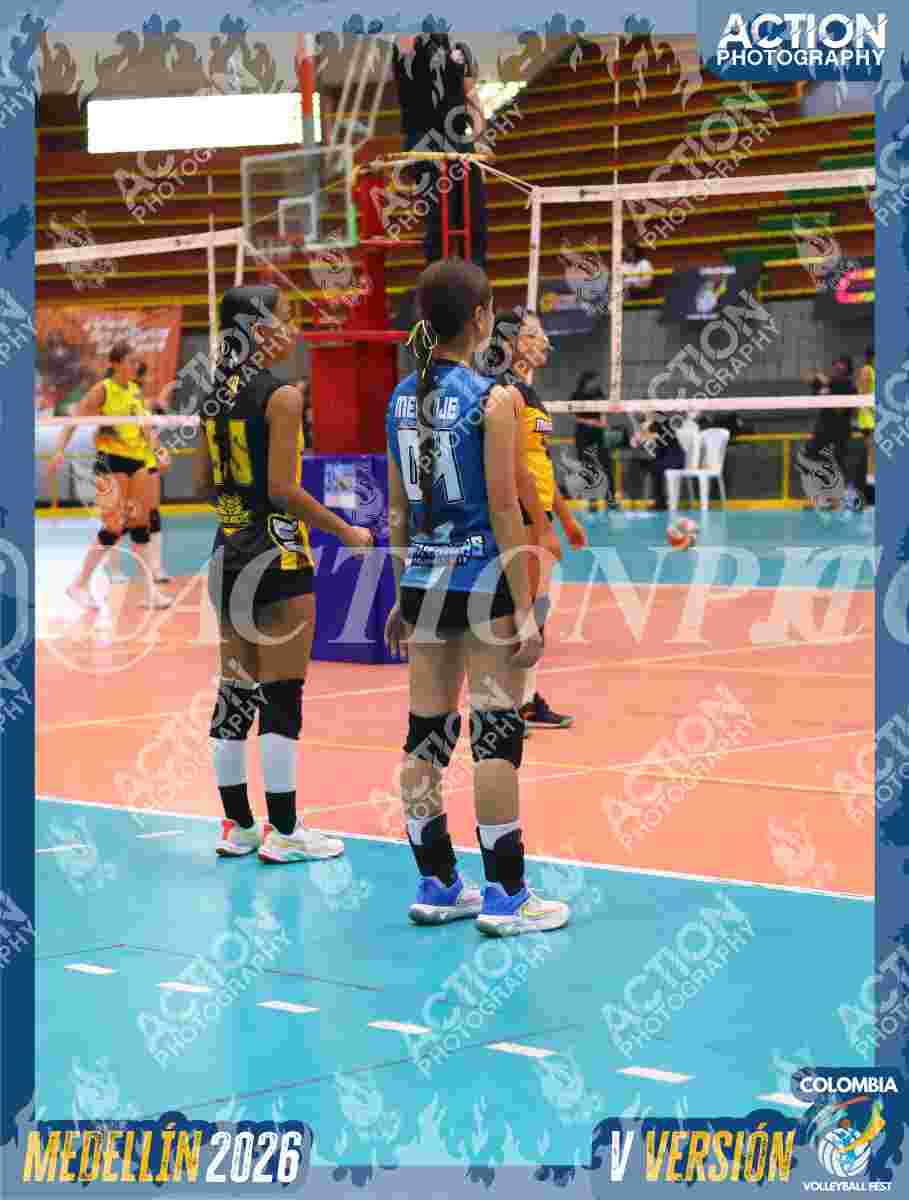 Preview de MAVERICK