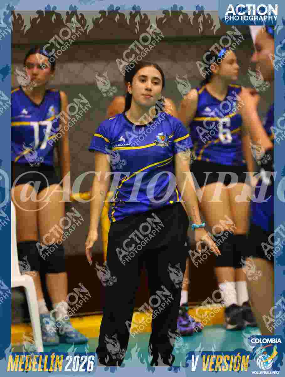 TIGRES S Foto 1
