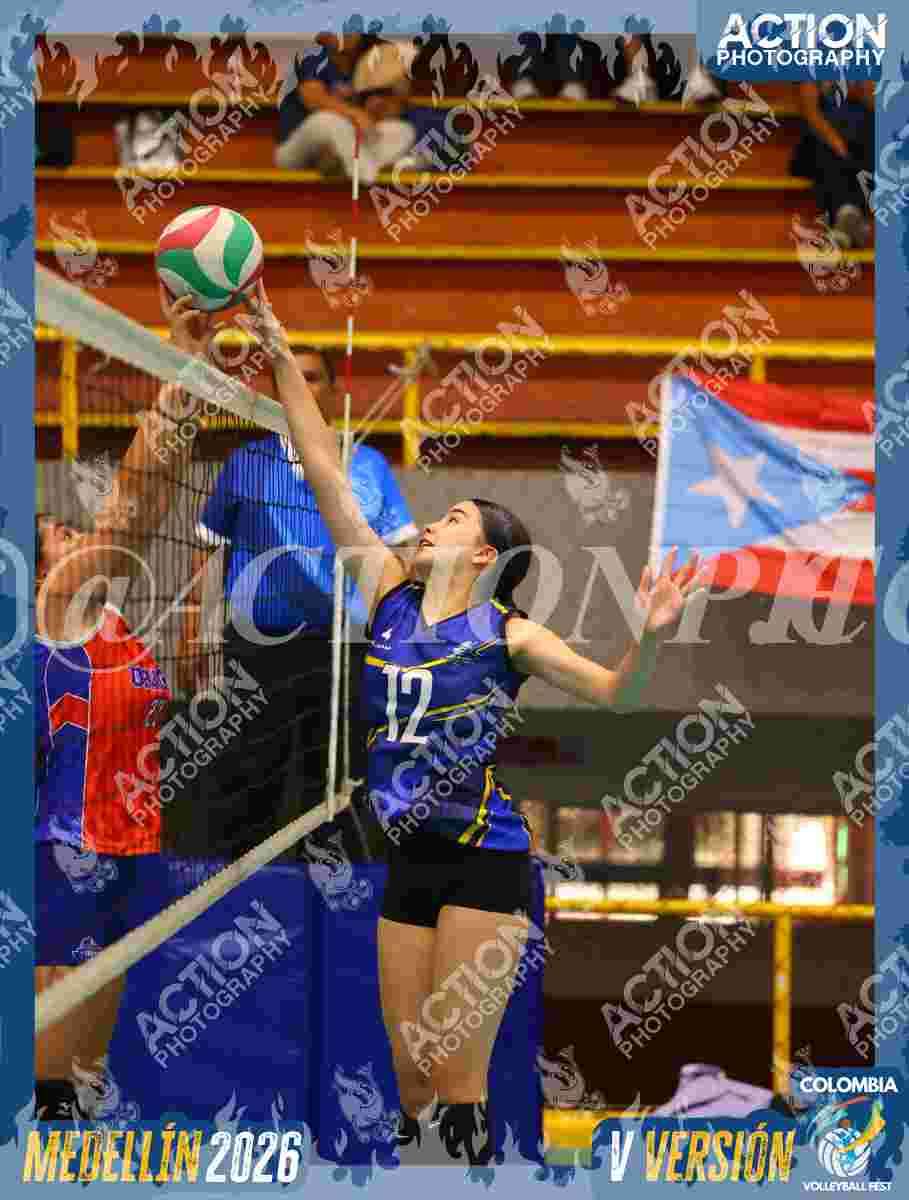 TIGRES S Foto 13