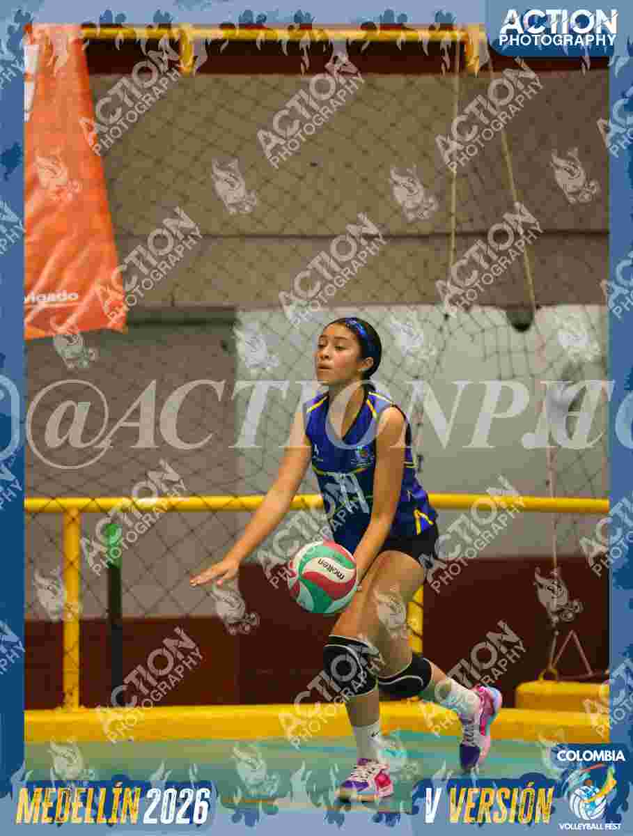 TIGRES S Foto 3