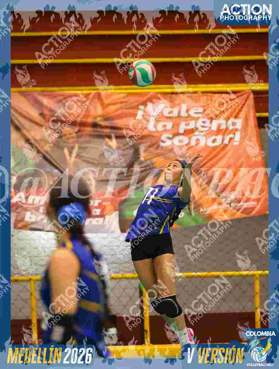 TIGRES S Foto 13