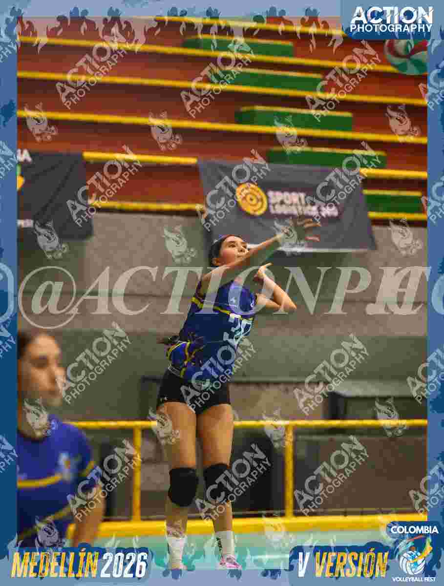 Preview de TIGRES S