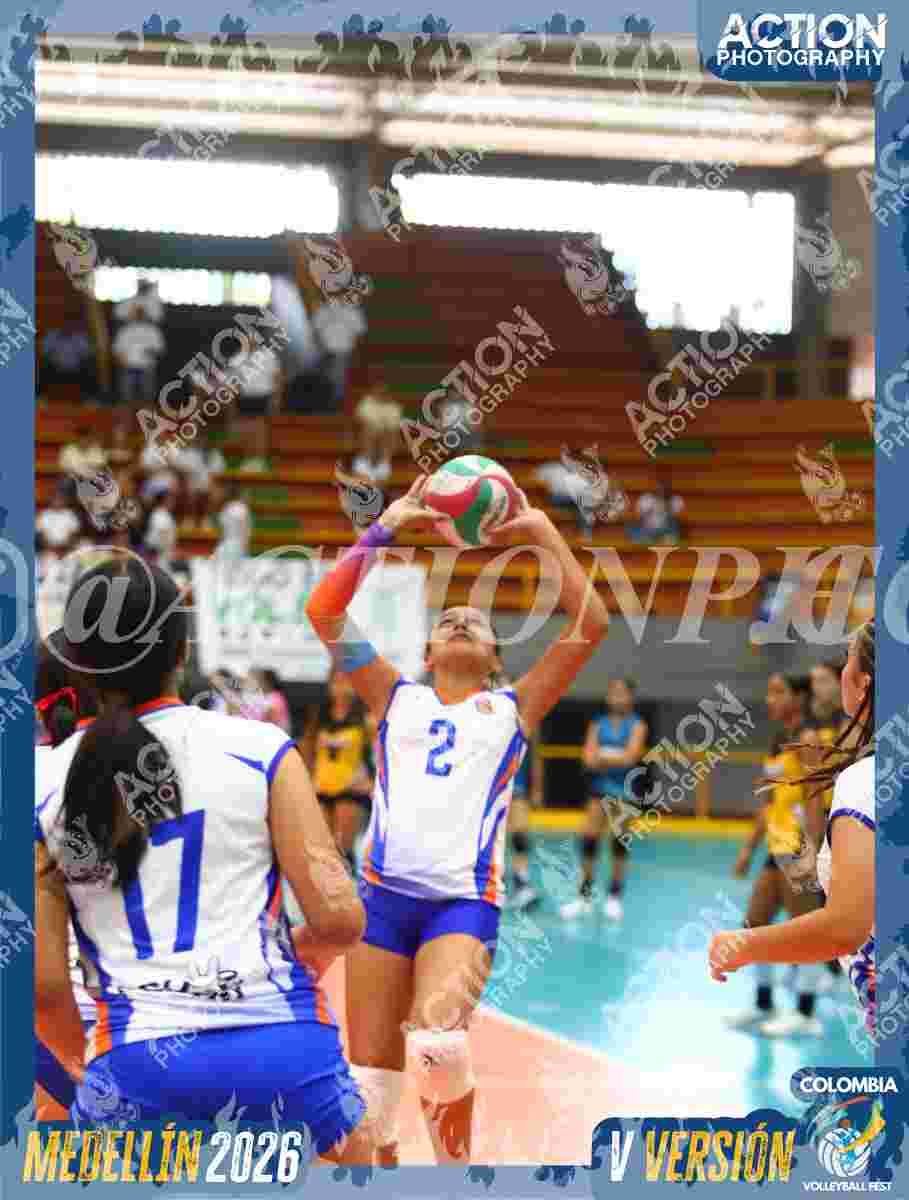 Preview de TIGRESAS 13