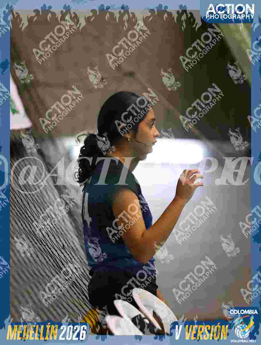 WOLVES Foto 1