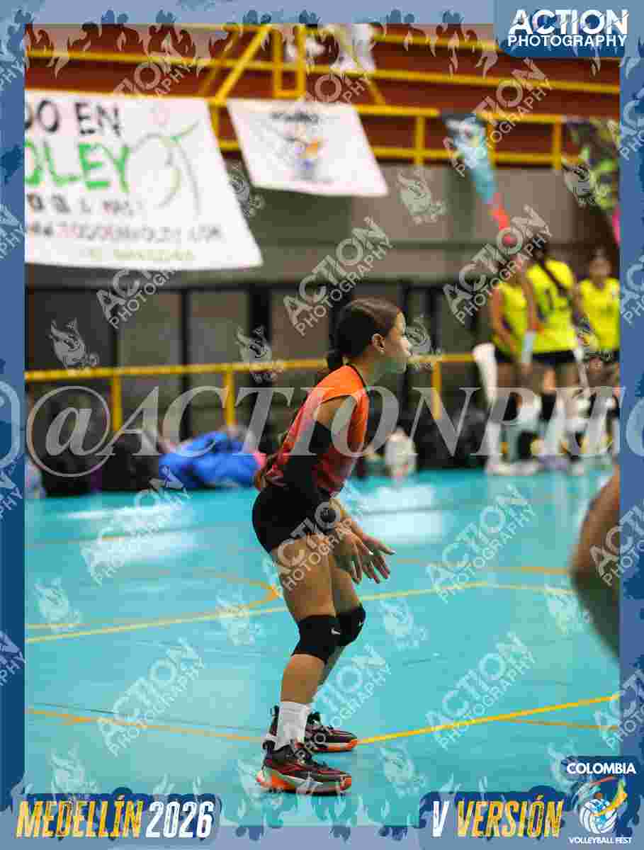 WOLVES Foto 1