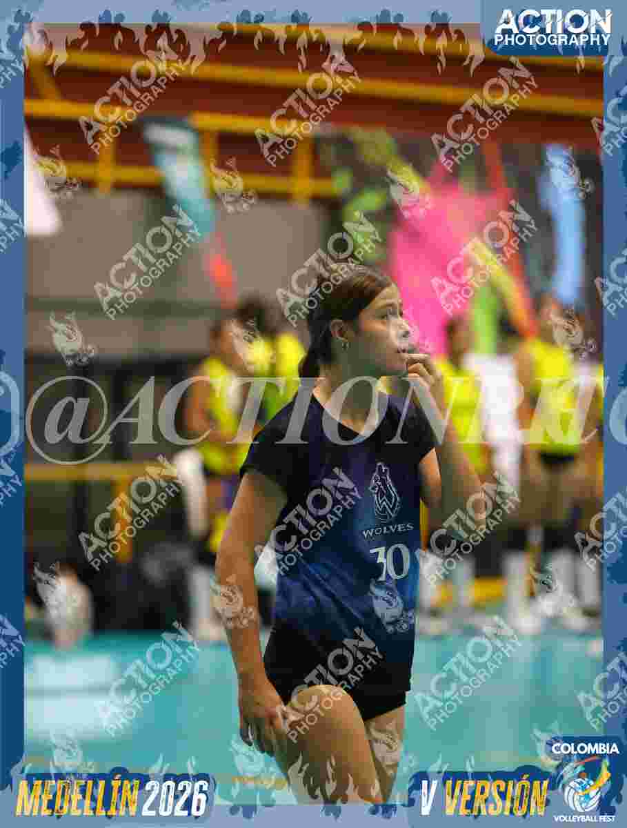 WOLVES Foto 1